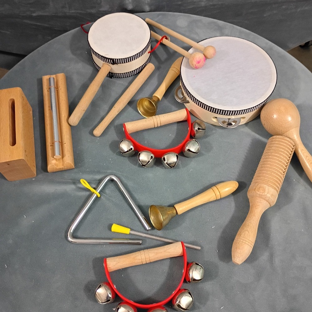 Looikoos Wooden Musical Instrument Set for Kids Percussion Rhythm Toys with Bag